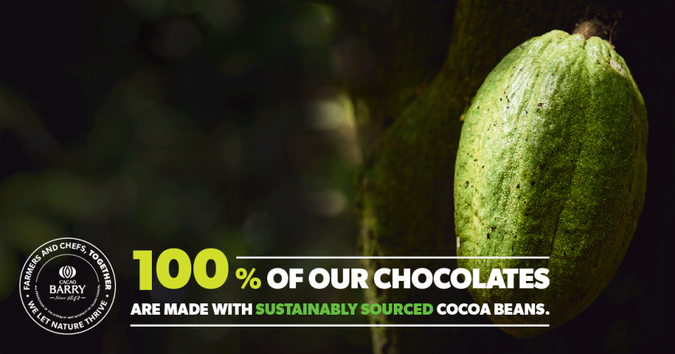 100% de cacao durable