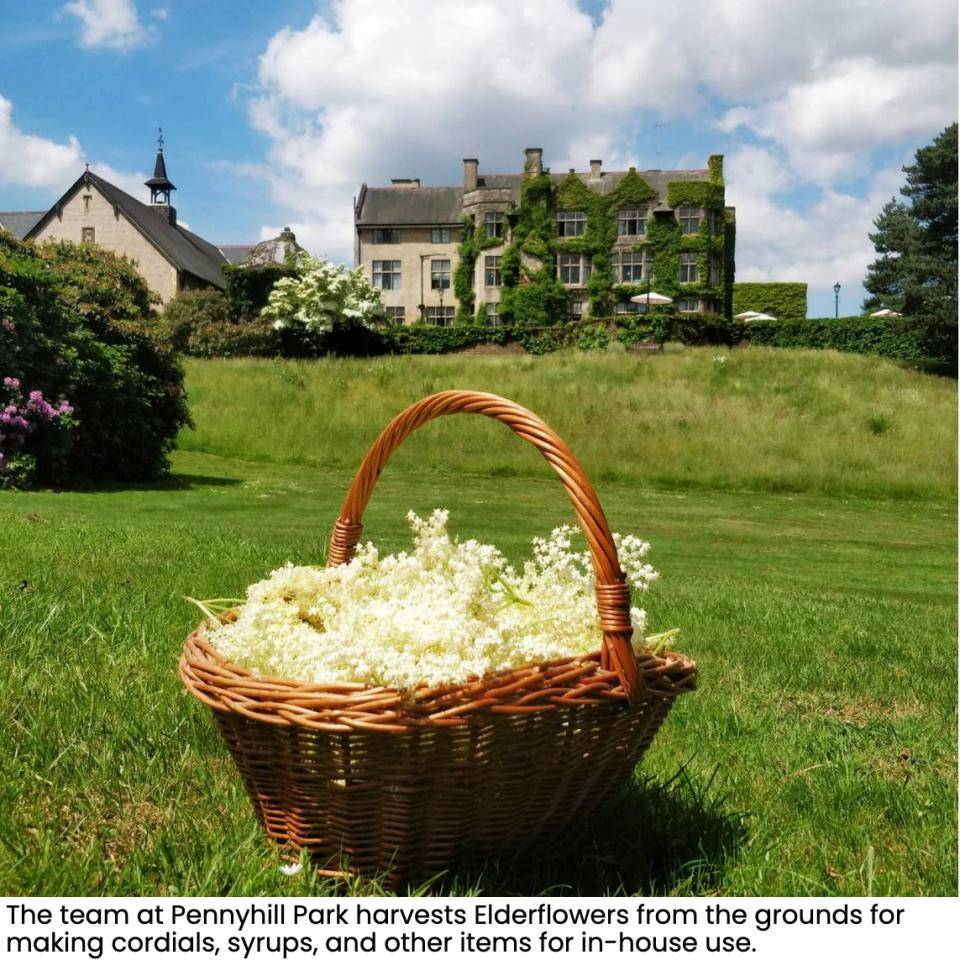 A basket of elderflowers on the rolling green lawn of Pennyhill Park