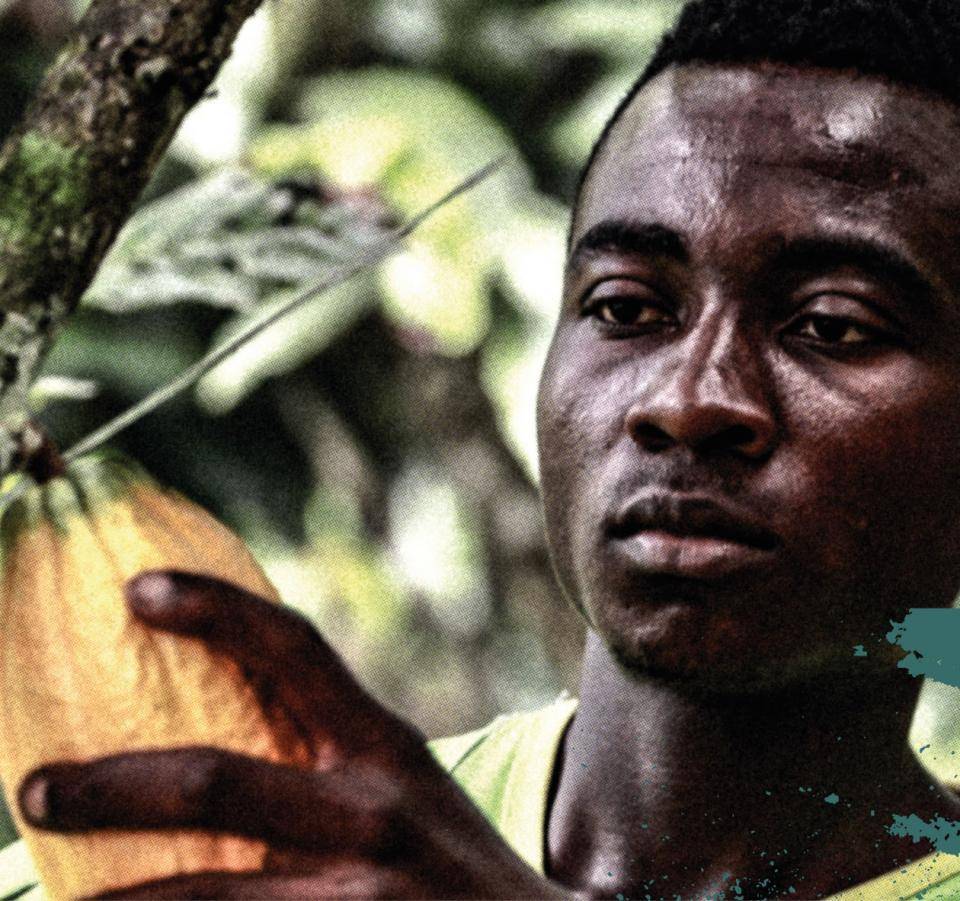 cocoa farmer