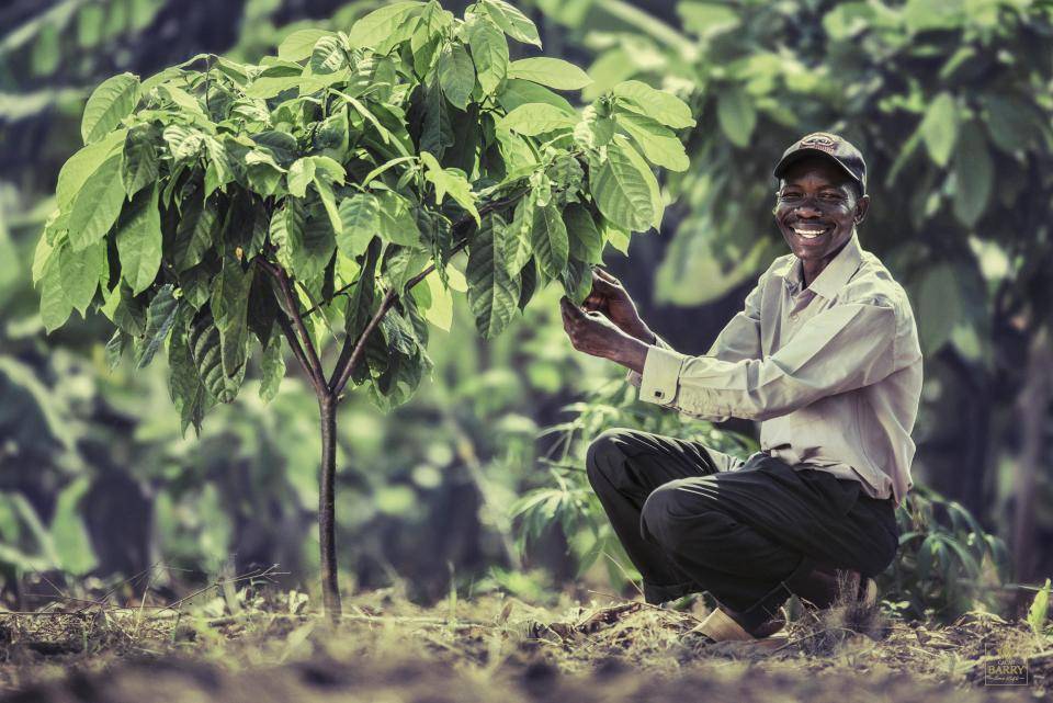 Taking care for the future of cocoa Taking care for the future of cocoa