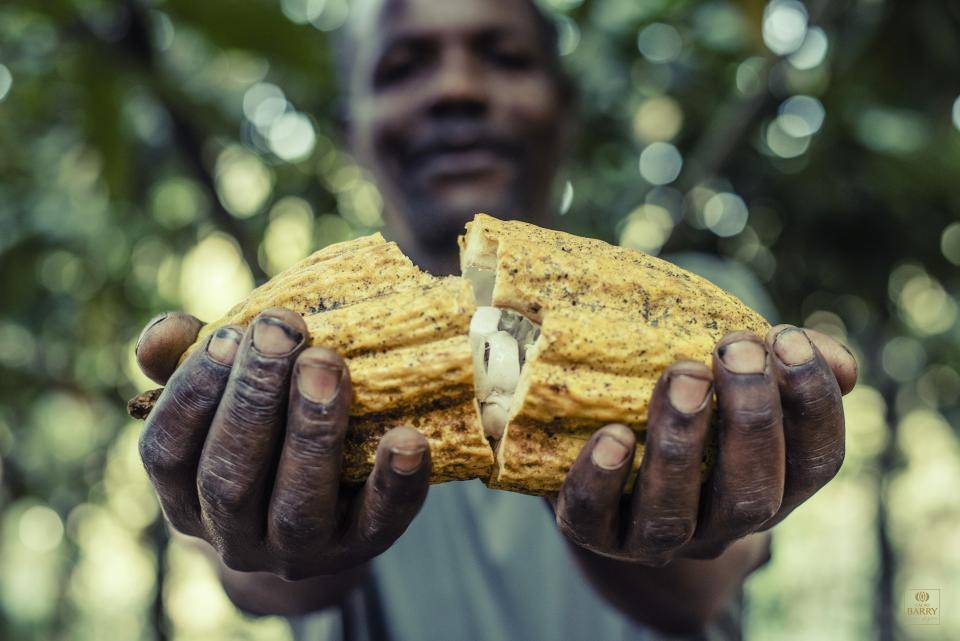 Two fantastic trips to cacao plantations are waiting for two lucky winners Two fantastic trips to cacao plantations are waiting for two lucky winners