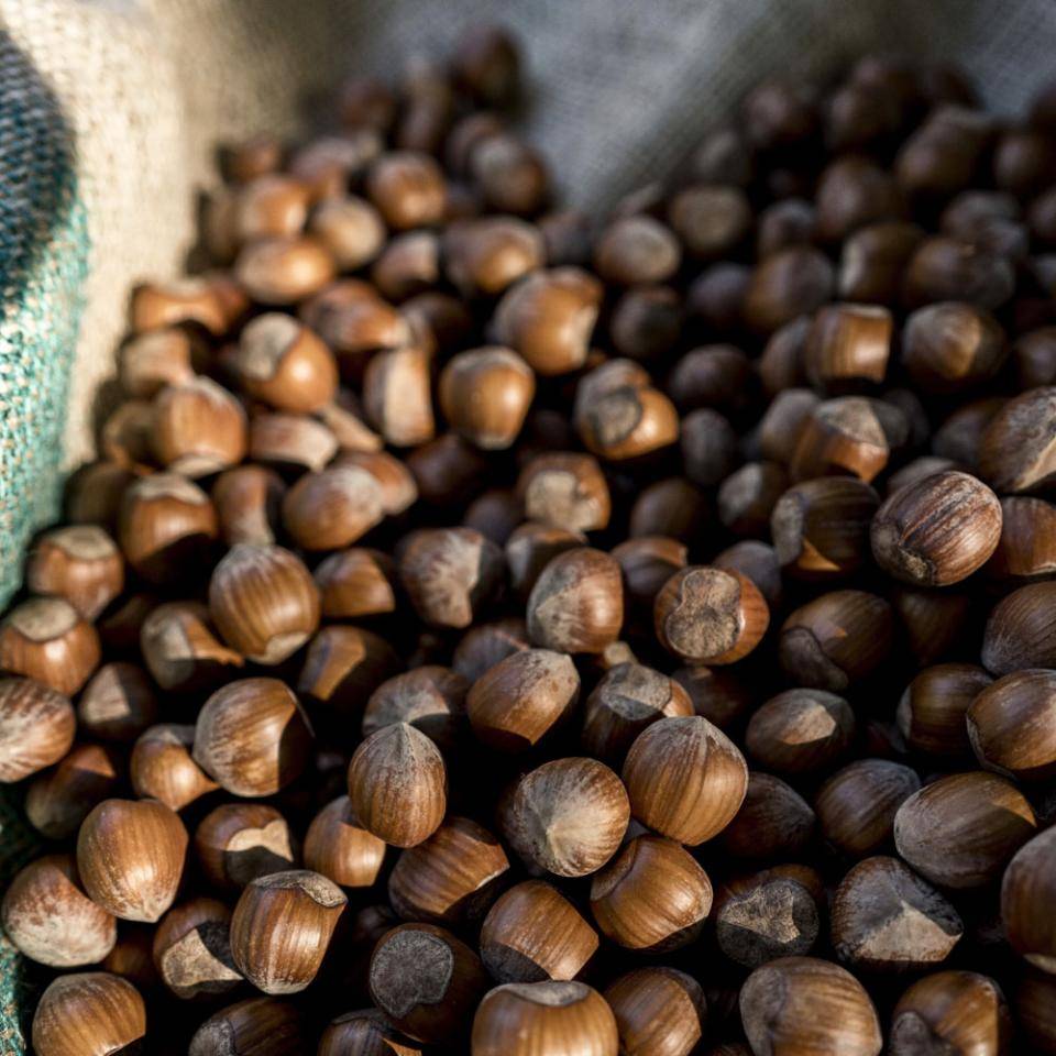 La noisette, au carrefour des vents méditerranéens