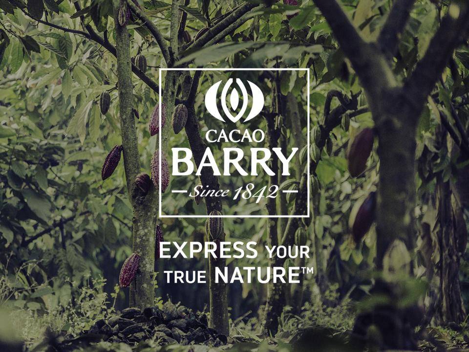 Cacao Barry Plantation with Logo