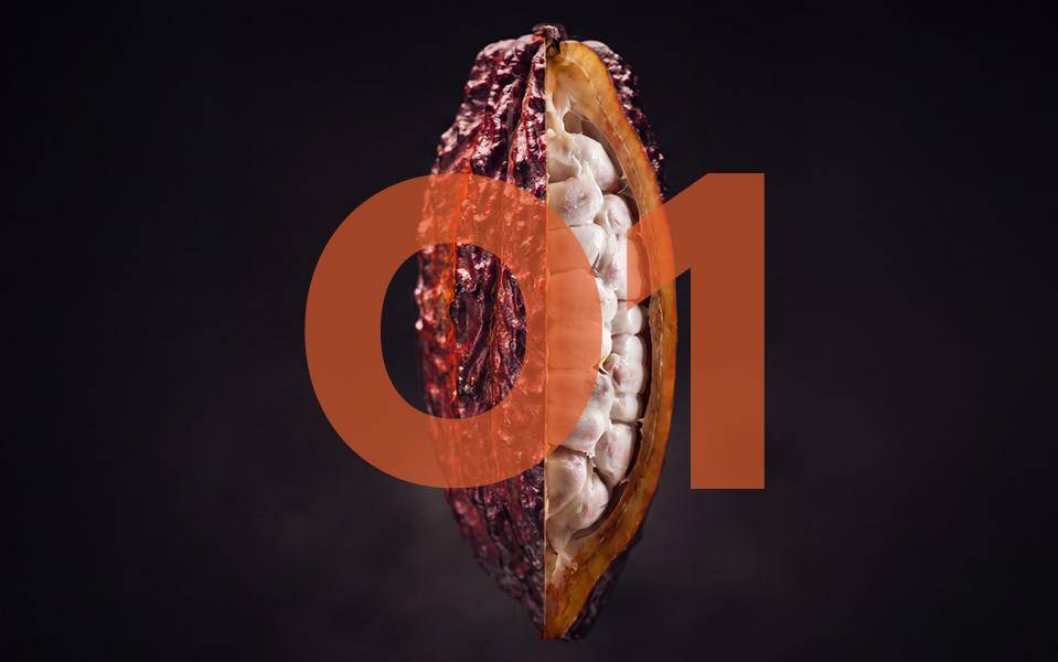 Callebaut Livestream