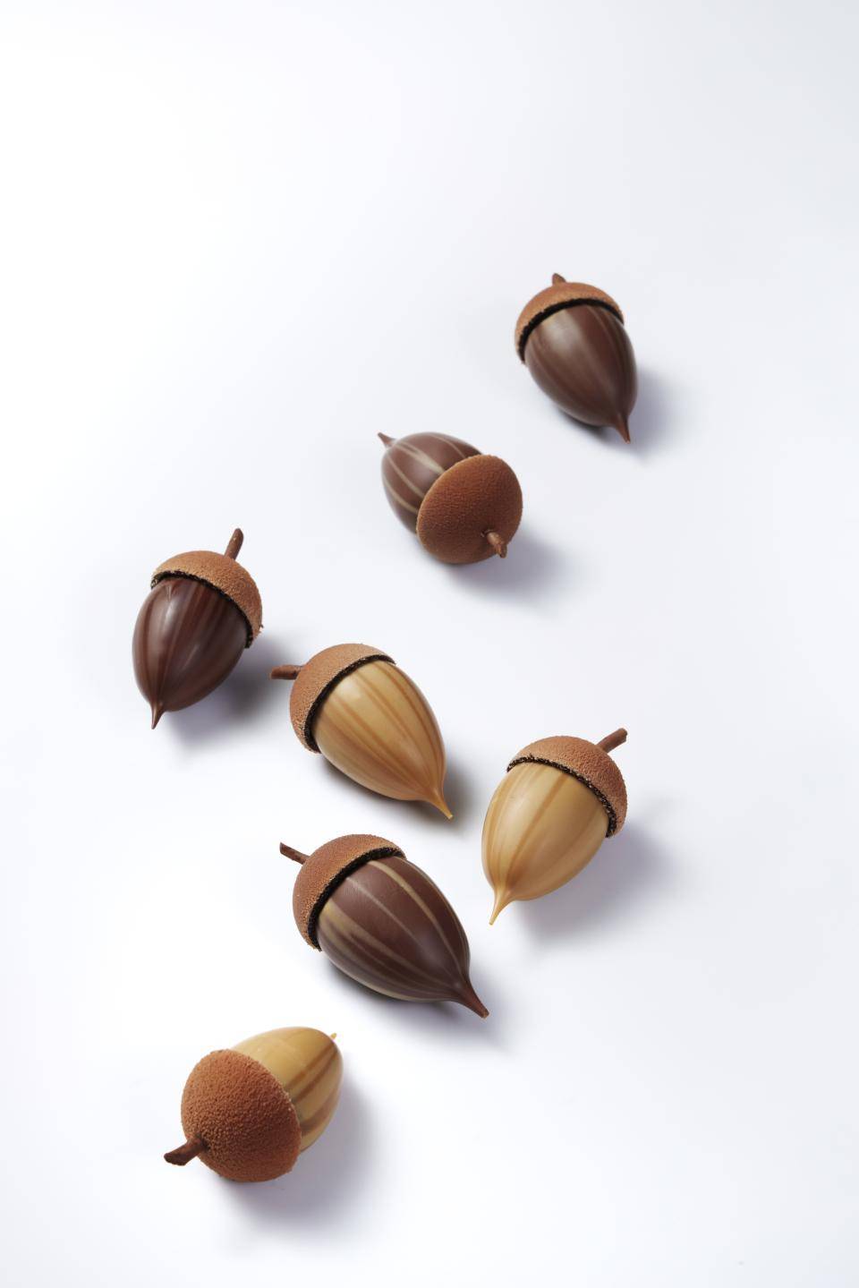 acorns