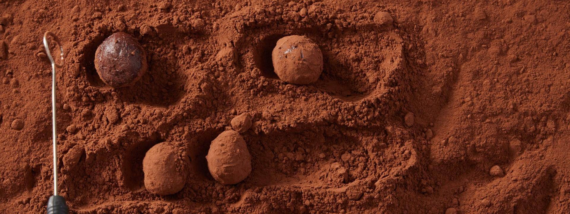 truffles being covered in cocoa powder