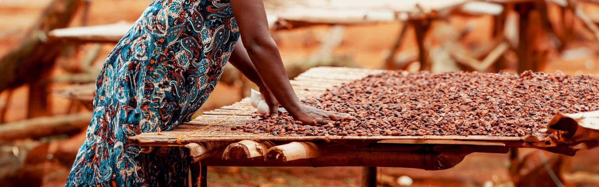 ONLY WELL-DRIED COCOA
