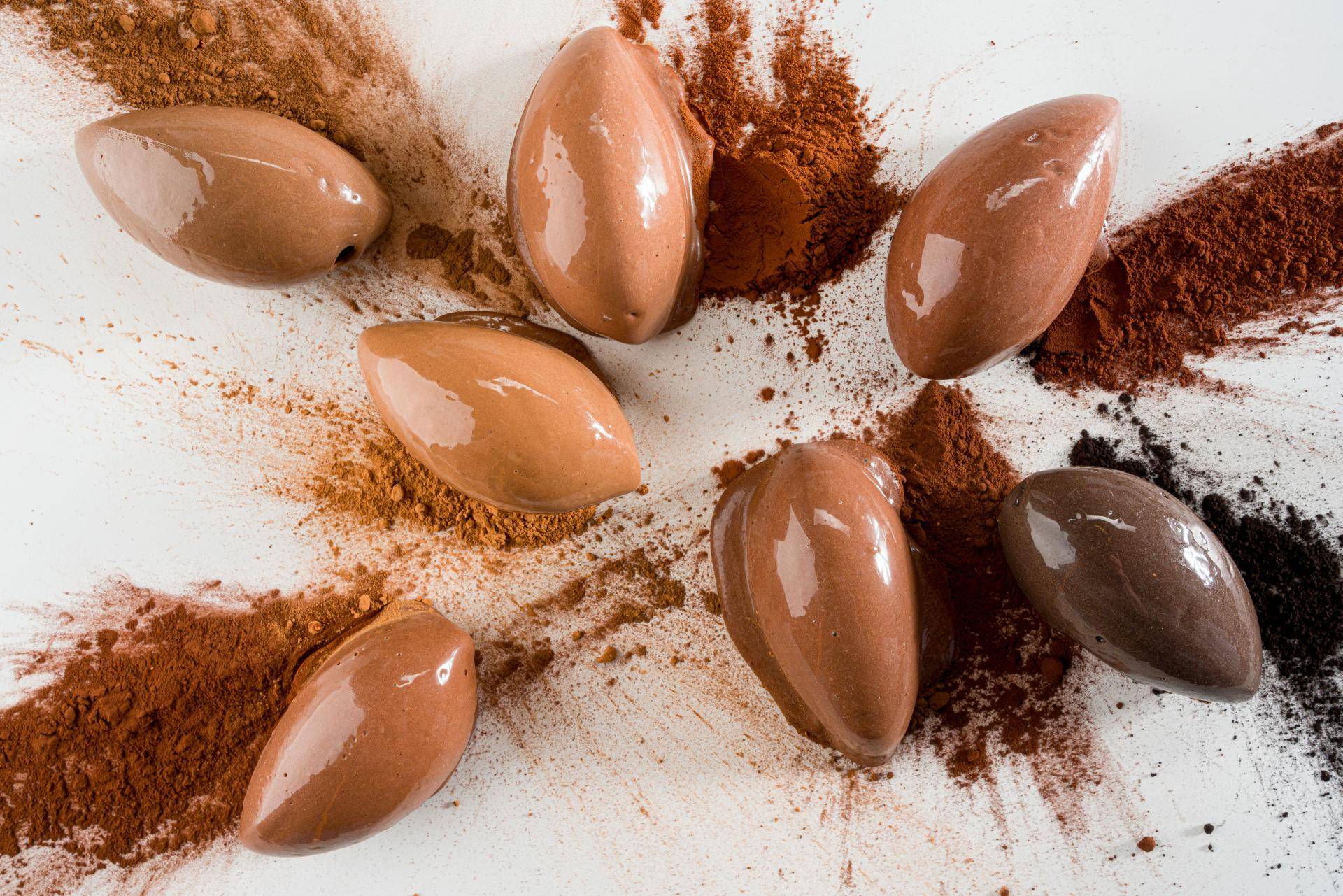 cacao powders