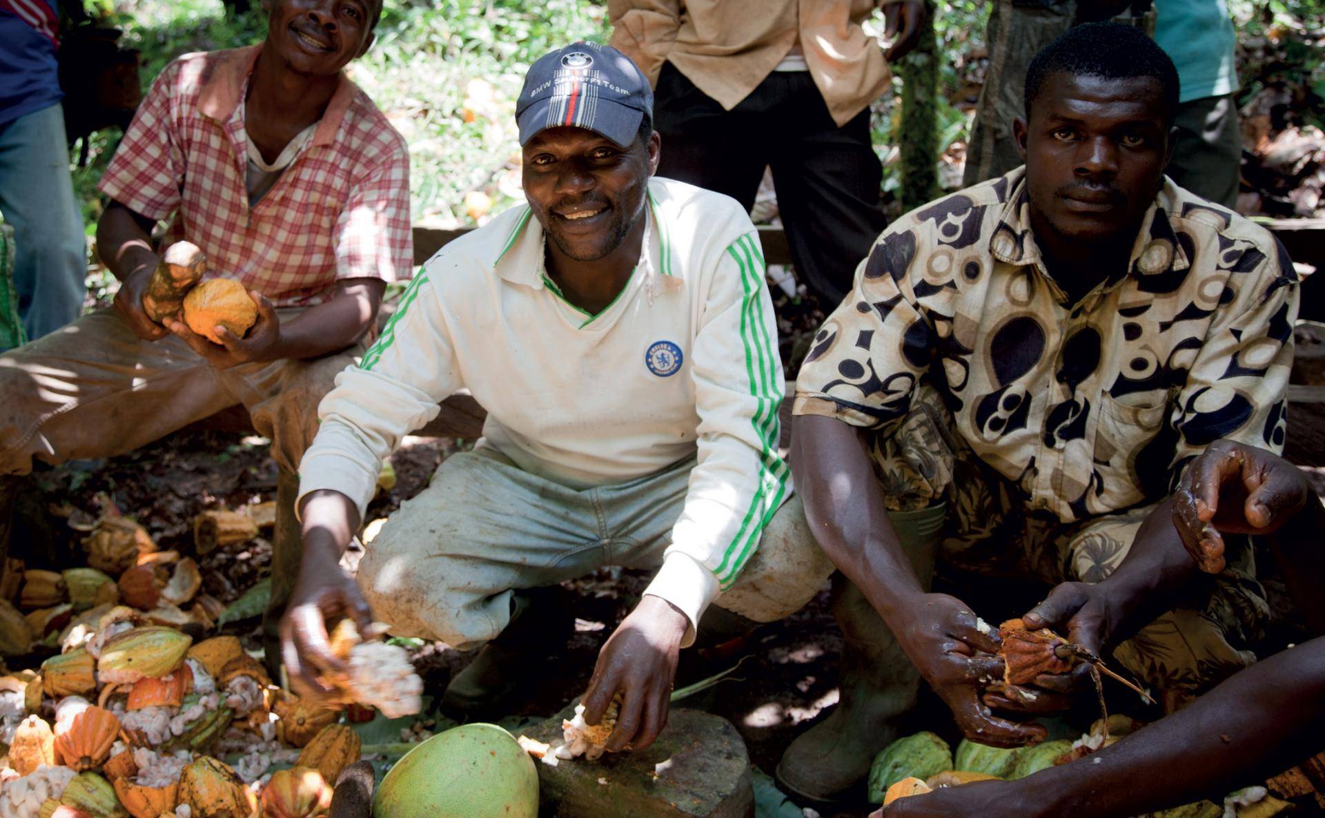 Sustainable chocolate cocoa farmers
