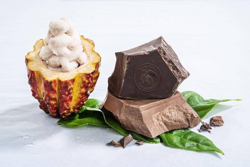 Cacao fruit cut in half, showing pulp, next to dark and milk chocolate