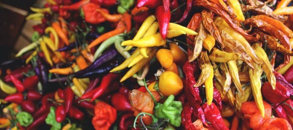 A variety of peppers in many different colors in a large pile