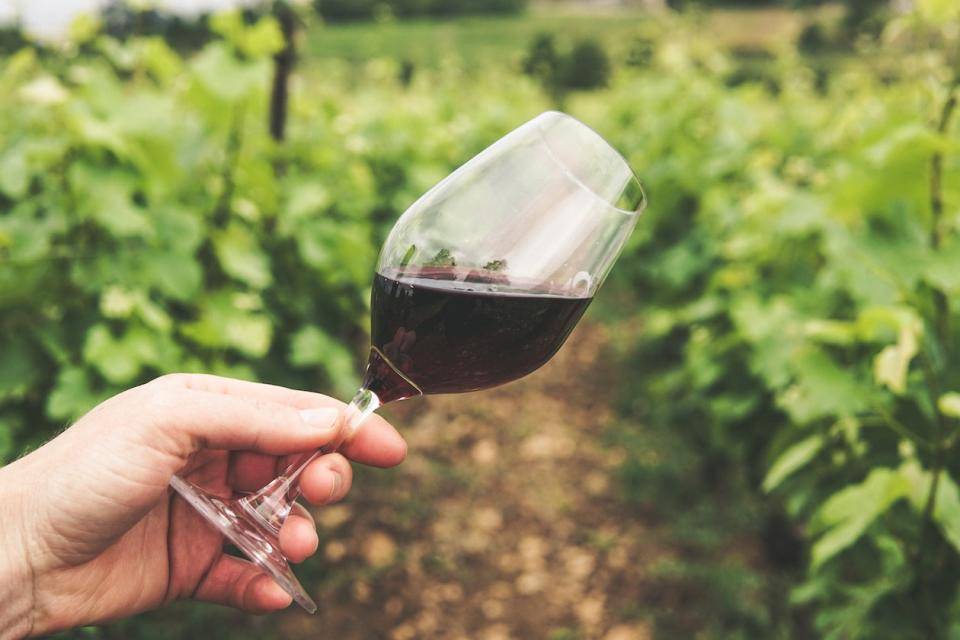 A hand holds a glass of red wine at an angle, vineyard in background