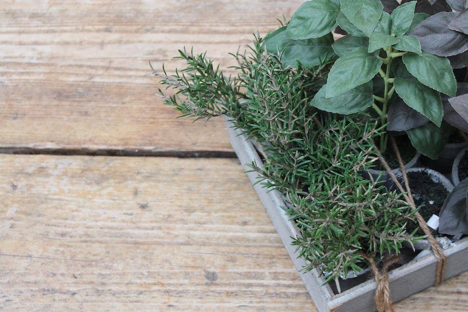 small wooden container with rosemary and basil on wooden tabletop