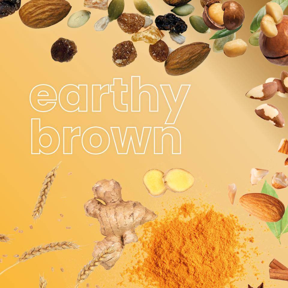 Nuts, ginger, and turmeric powder on a light brown background. Text: earthy brown