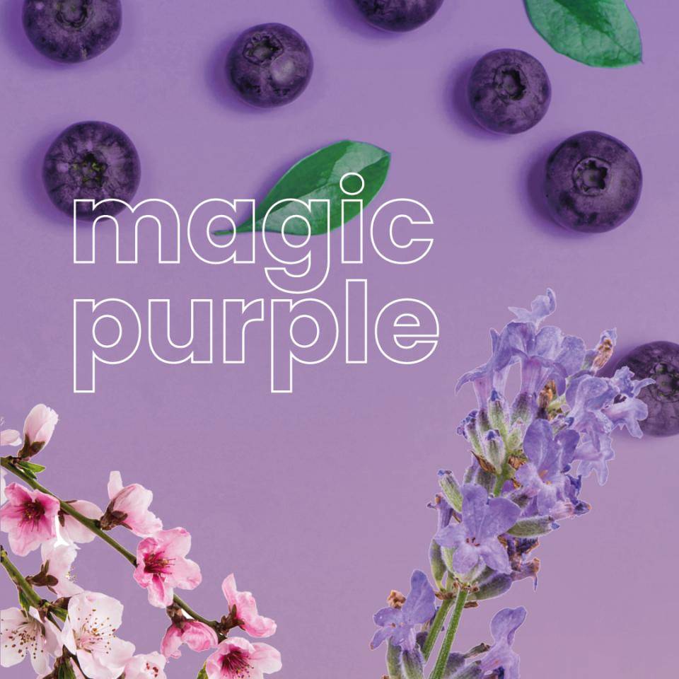 blueberries, sakura, and lavender blossoms on a purple background. Text: magic purple