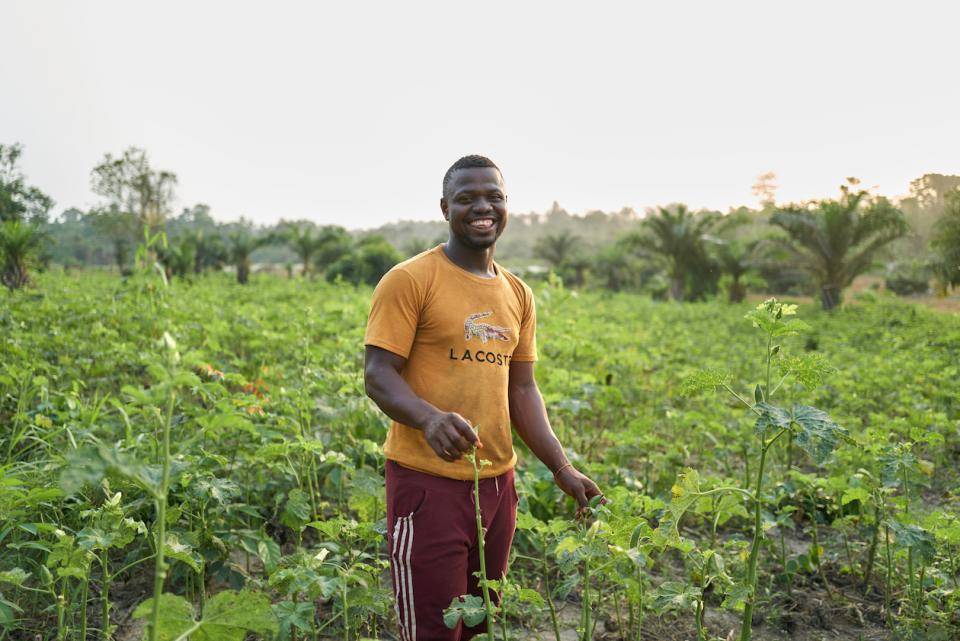 A cocoa farmer stands in a field of young plants