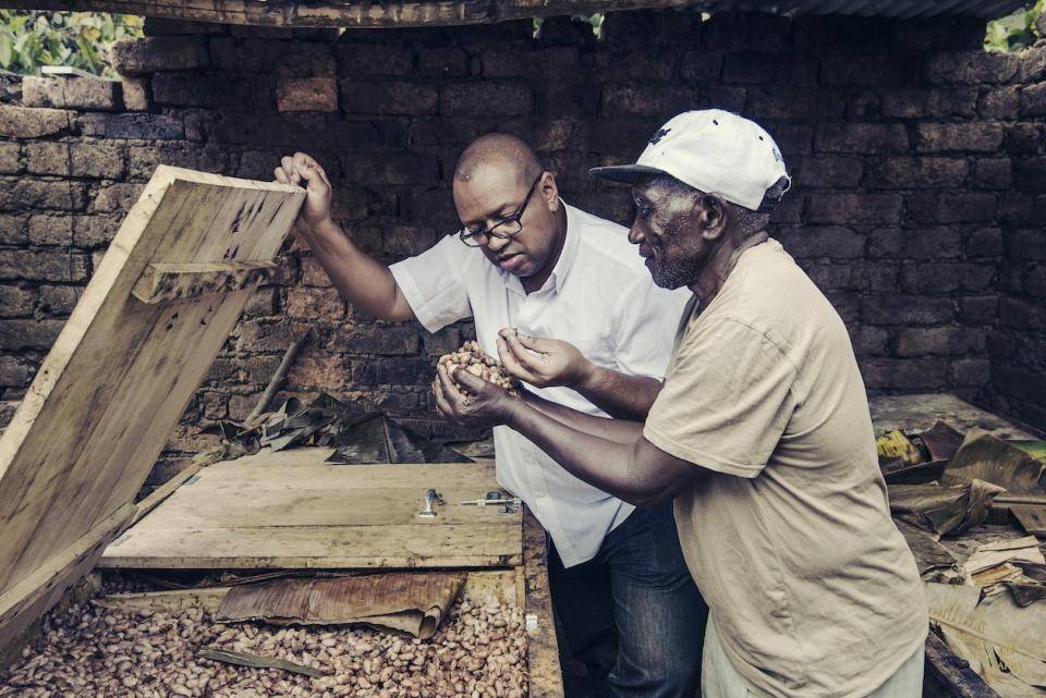 Cacao farm workes inspect a box of cacao beans
