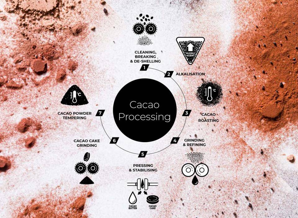 Cacao Farming From the fruit to the Cacao Powder