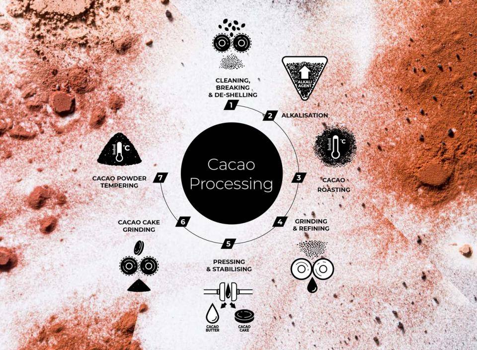 What you need to know about the making of cacao powder 