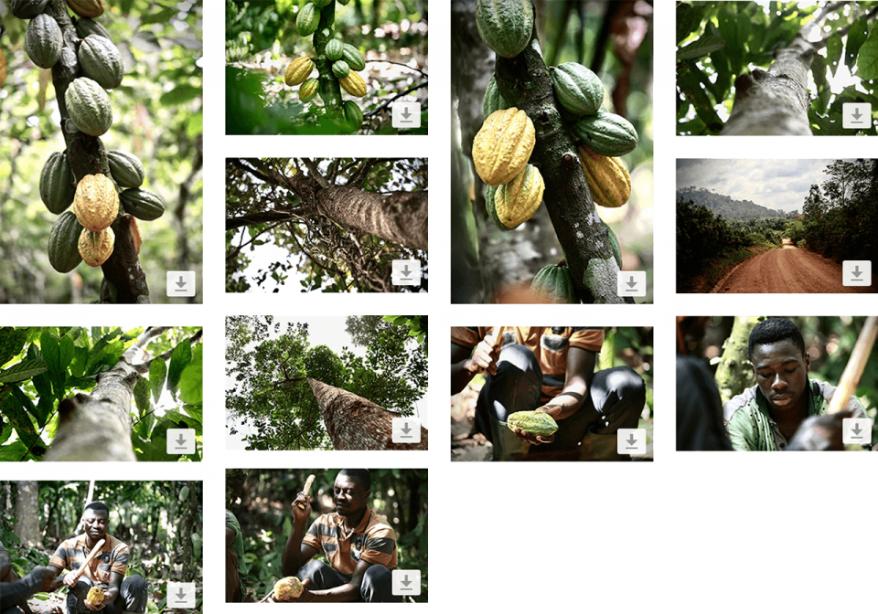 Download selection of images callebaut