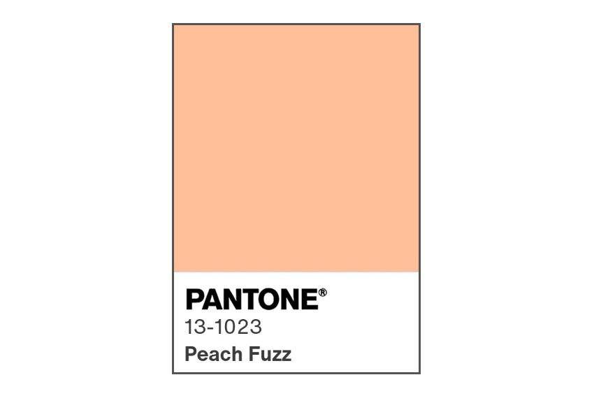 Pantone color chip for 2024 Peach Fuzz