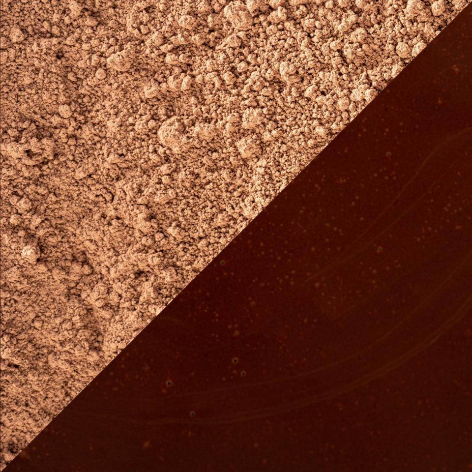 Légére defatted cacao powder shown wet and dry