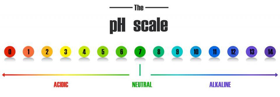 A diagram illustrating the pH scale designed by Matt Cole of Australia