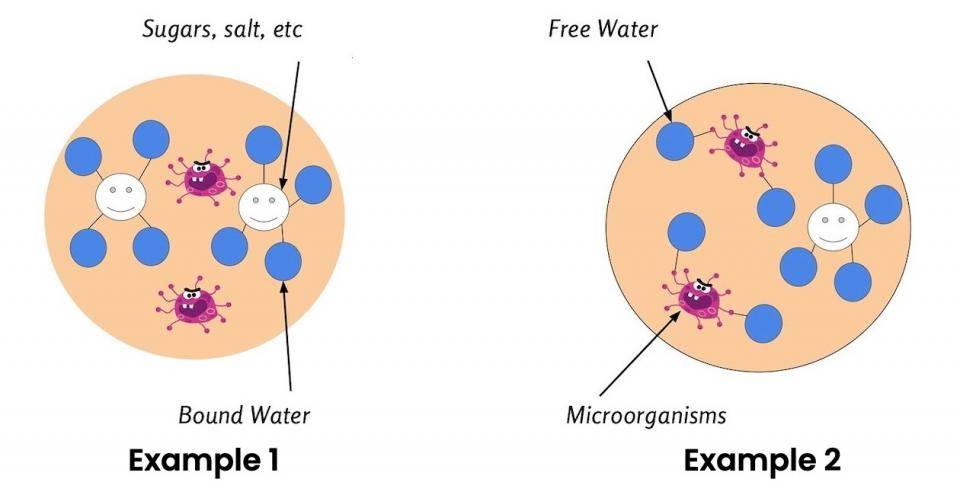 An illustration of water and microbial activity in two different products
