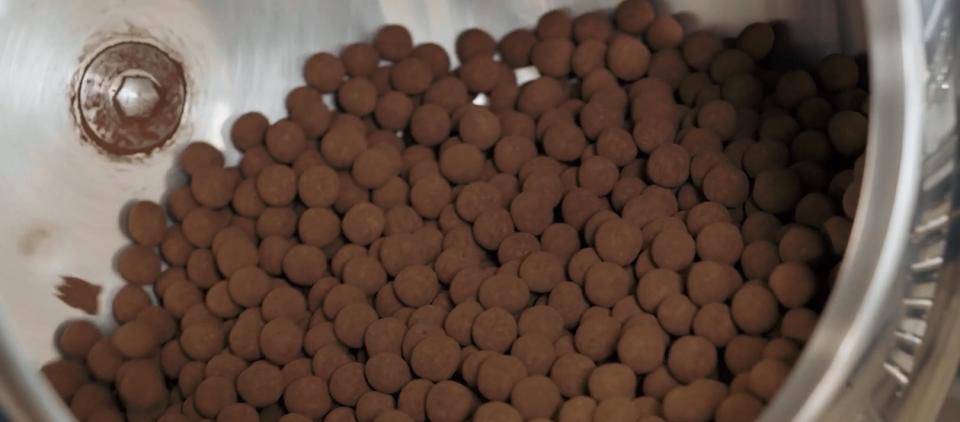 Cocoa powder coated hazelnuts in the panning drum