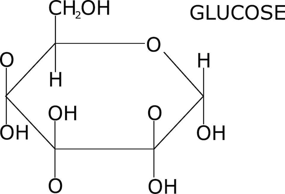 illustration of a glucose molecule