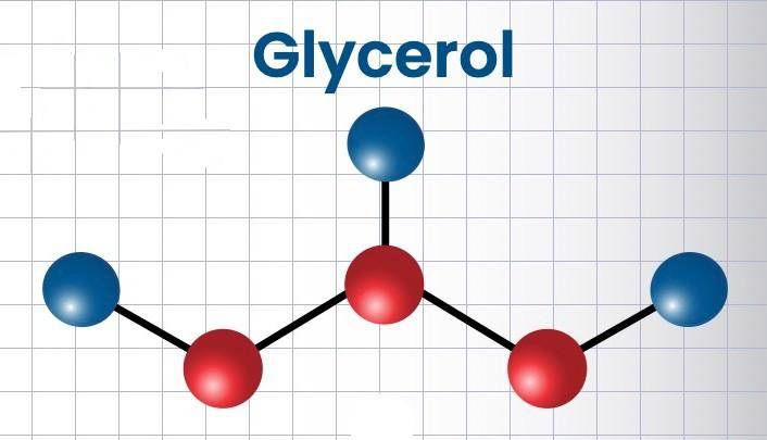 a glycerol molecule