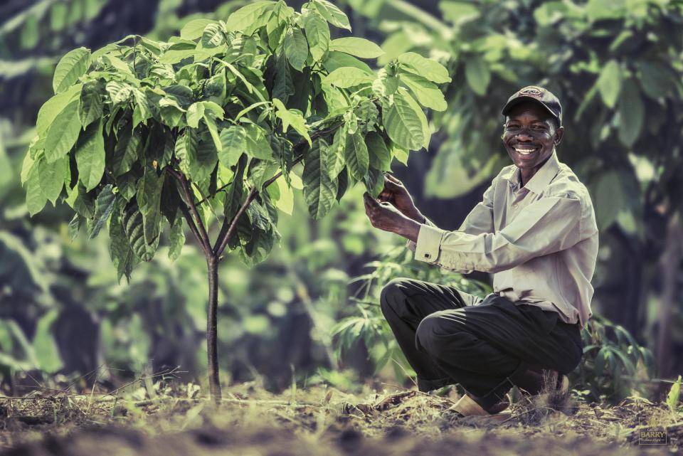 Taking care for the future of cocoa