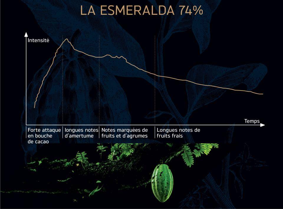 Chocolat de couverture noir La Esmeralda 74%