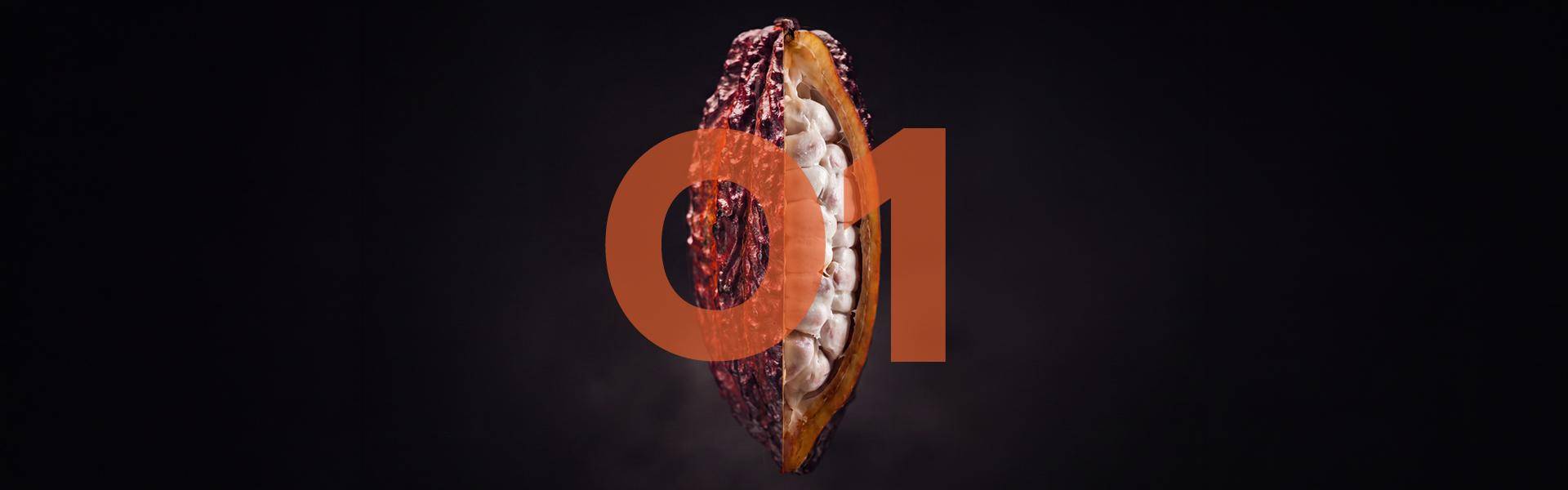 DISCOVER 01 - JOIN OUR LIVESTREAM - Callebaut