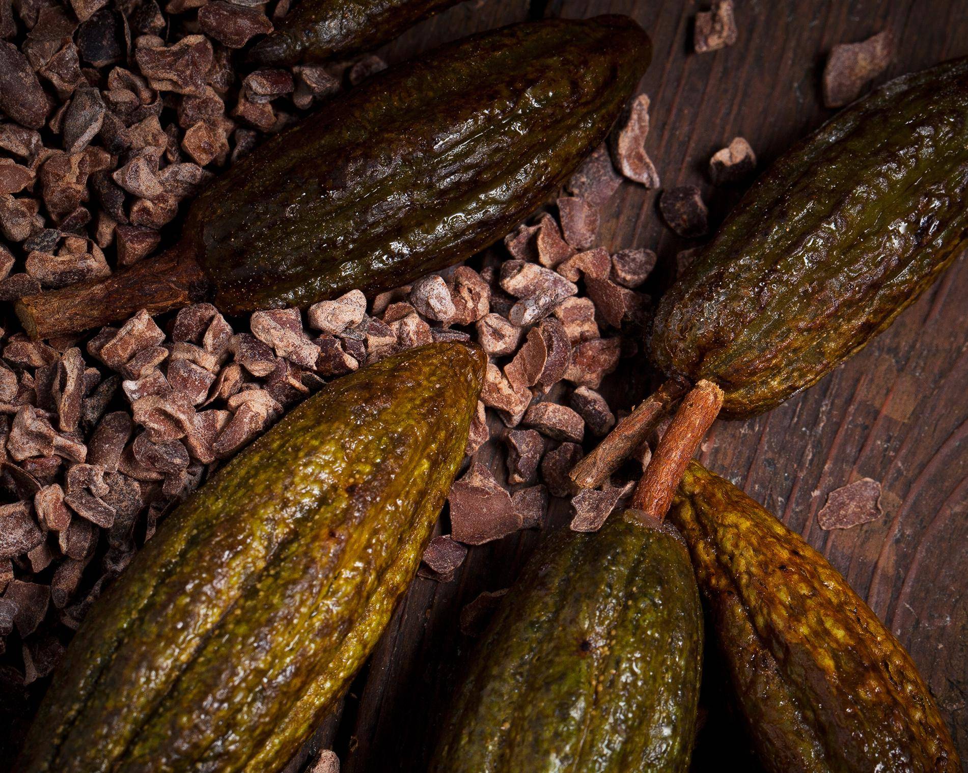 Cocoa ingredients callebaut