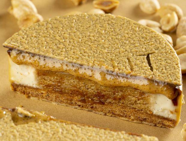 peanut tart cross section