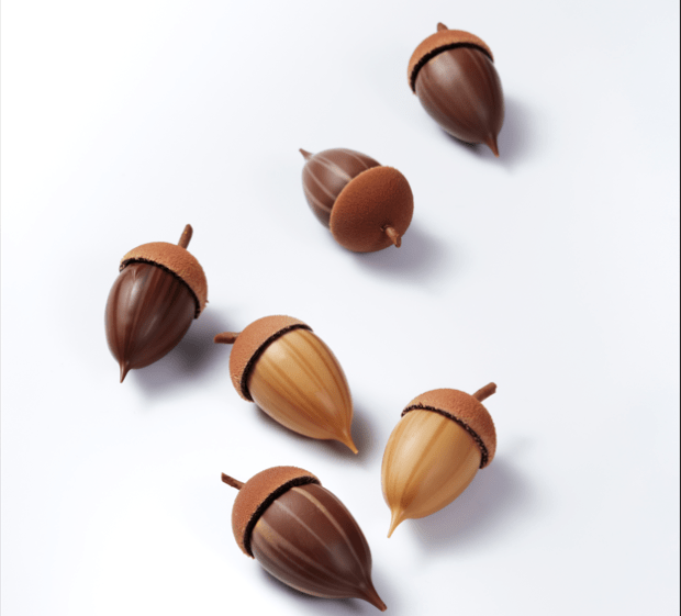 acorns zoom
