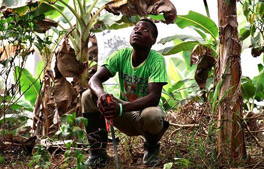 Podpora rozvoje nové generace mladých pěstitelů