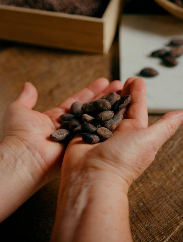callebaut cocoa beans
