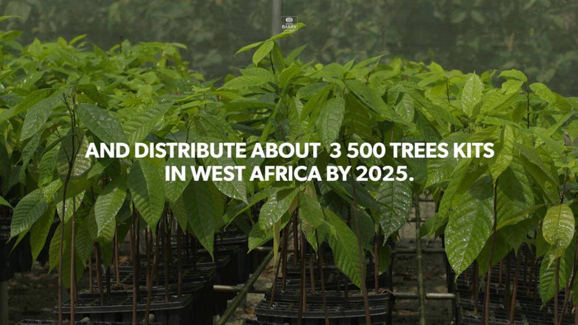 Thriving Nature Trees kits initiative