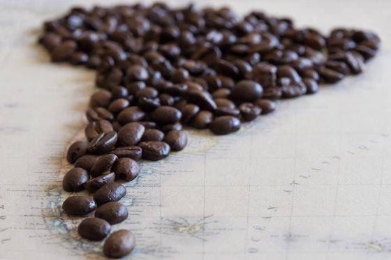 dark brown beans fill in South America on a map