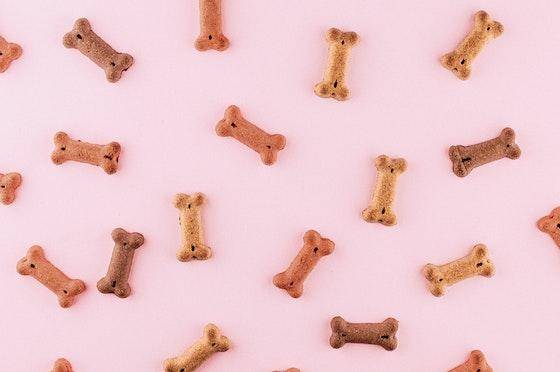 Bone-shaped dog biscuits on a pink background