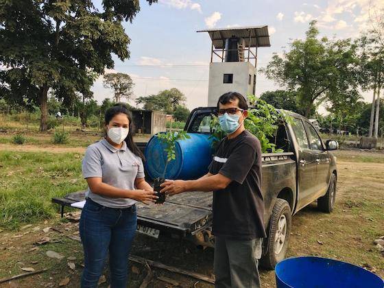 Two Cocoa Horizonsa farmers unloading tree seedlings