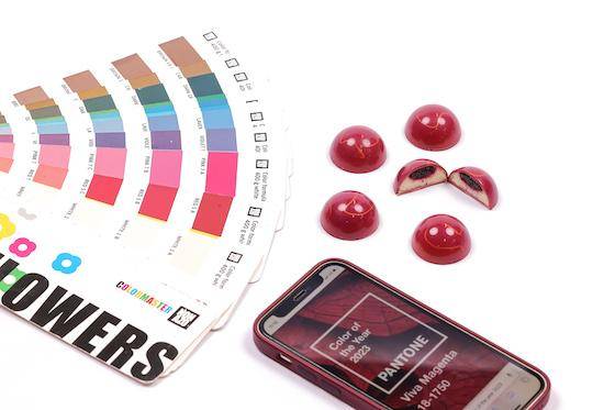 The Power Flowers color booklet, a phone with the app on the screen, and molded bonbons