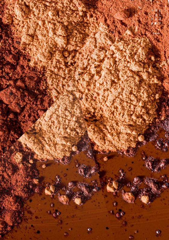 WHAT YOU NEED TO KNOW ABOUT CACAO POWDERS