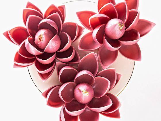 Ruby Chocolate Lotus Blossoms by Chef Renata Arassiro